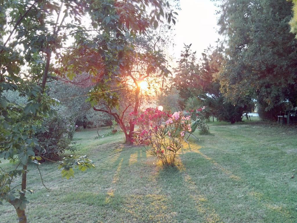 Agriturismo La Torre Di Monsindoli 시에나 외부 사진