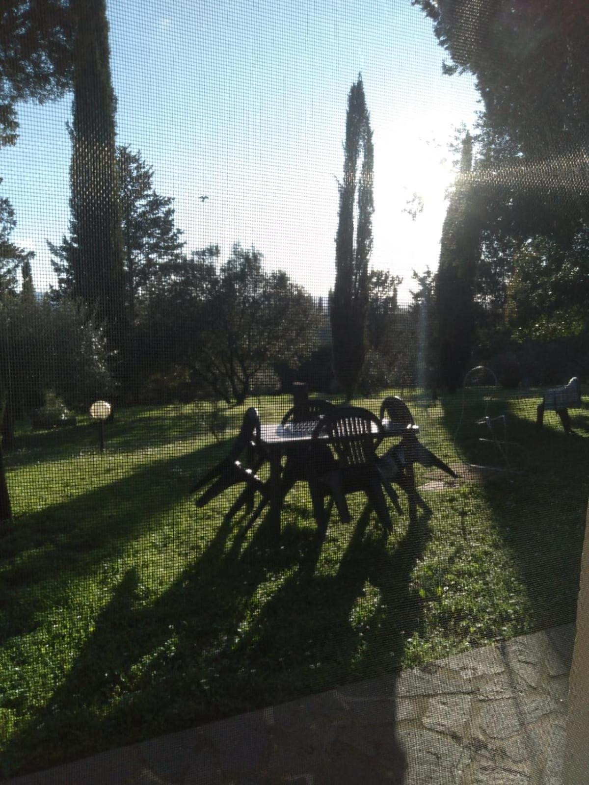 Agriturismo La Torre Di Monsindoli 시에나 외부 사진