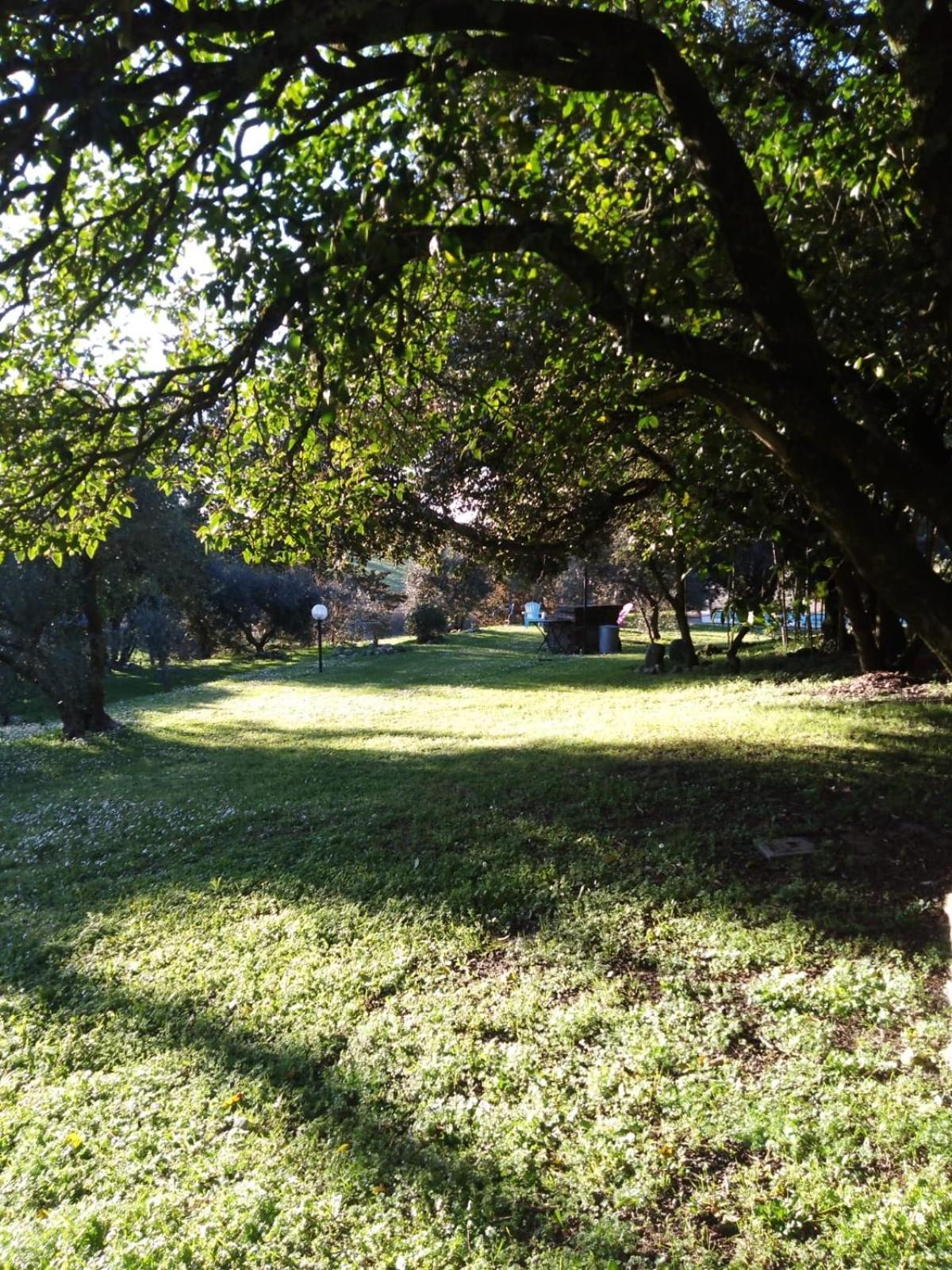 Agriturismo La Torre Di Monsindoli 시에나 외부 사진