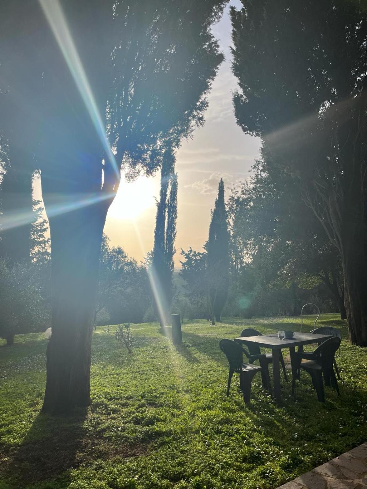 Agriturismo La Torre Di Monsindoli 시에나 외부 사진