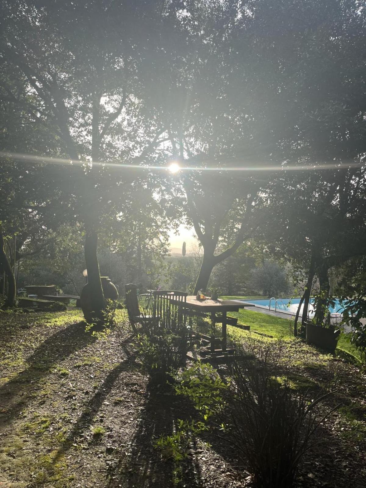 Agriturismo La Torre Di Monsindoli 시에나 외부 사진