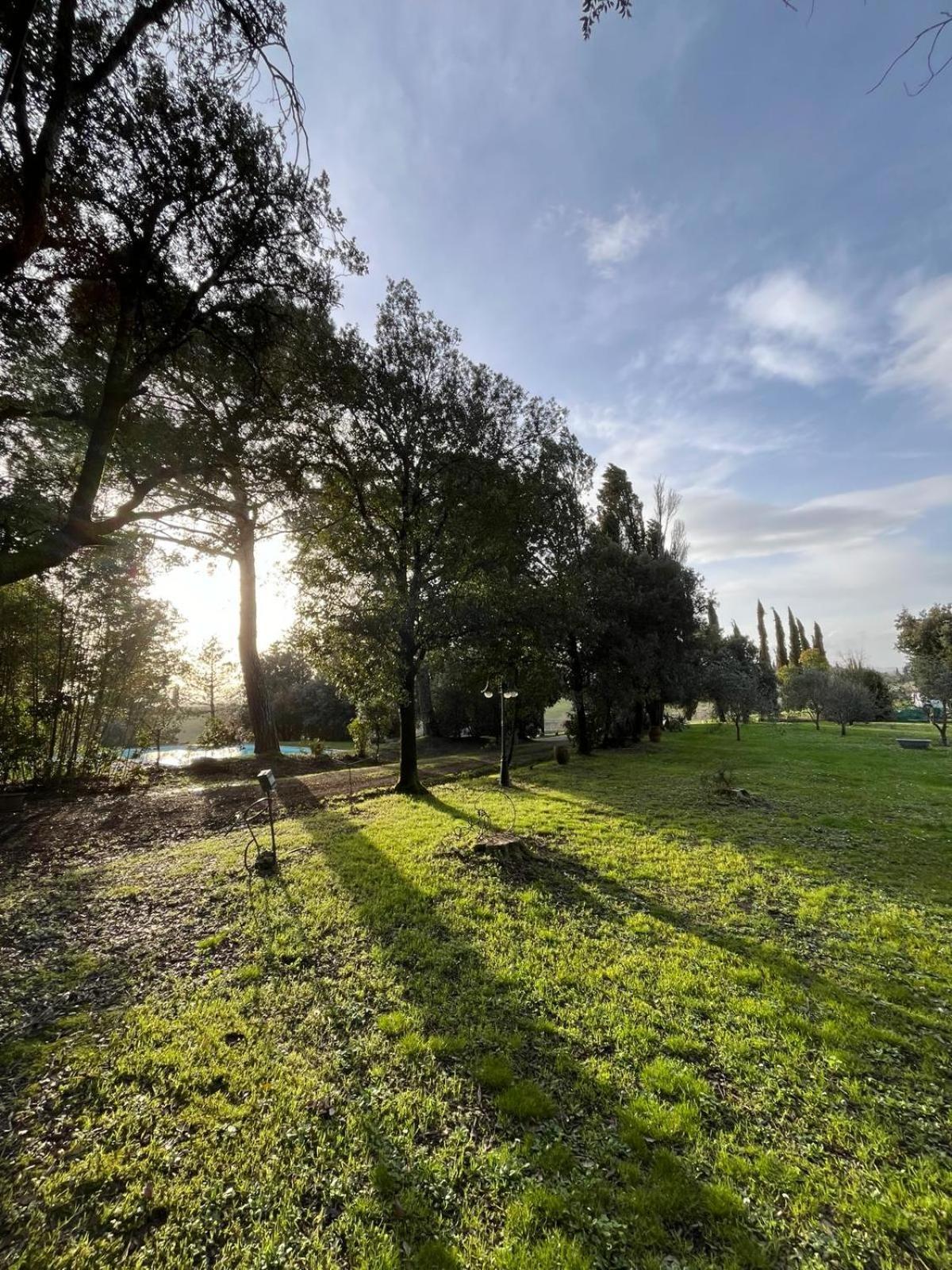 Agriturismo La Torre Di Monsindoli 시에나 외부 사진