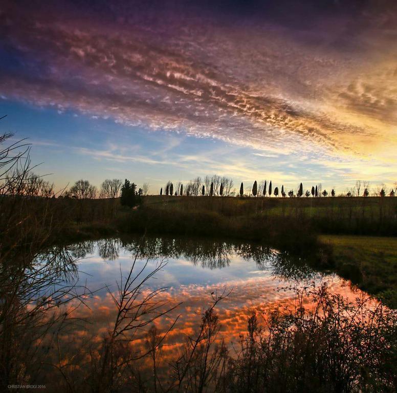 Agriturismo La Torre Di Monsindoli 시에나 외부 사진